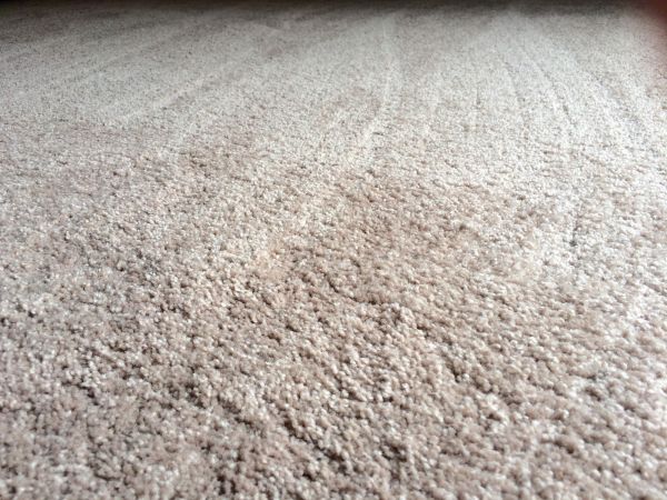 Plush Carpet Installation in Dothan